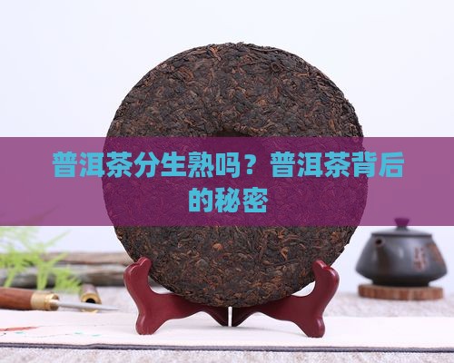 普洱茶编号分生熟吗