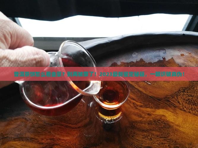 普洱茶饼怎么看金豪
