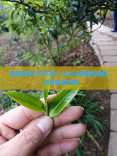 普洱茶放几天可以喝不苦