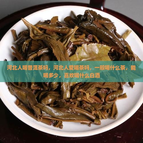 河北人喝普洱茶吗
