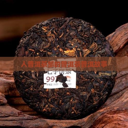台湾人普洱茶邹
