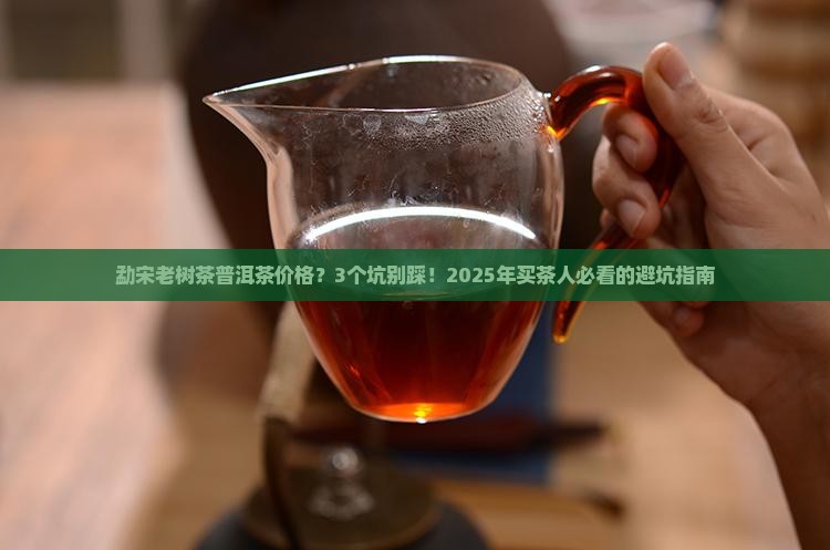 勐宋老树茶普洱茶价格