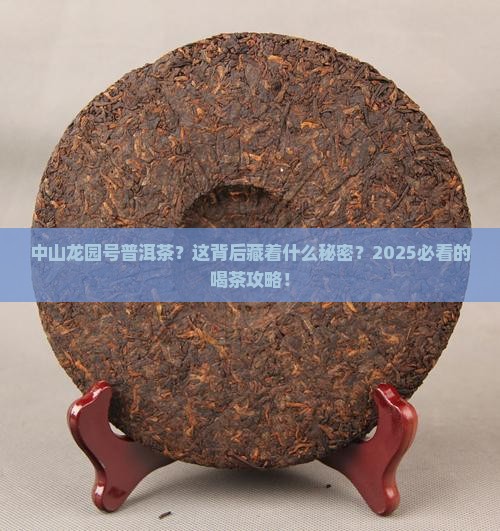 中山龙园号普洱茶官网