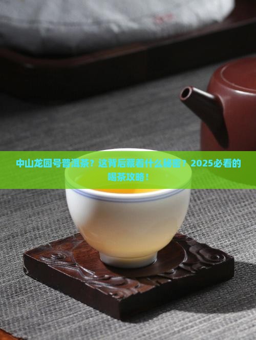 中山龙园号普洱茶官网