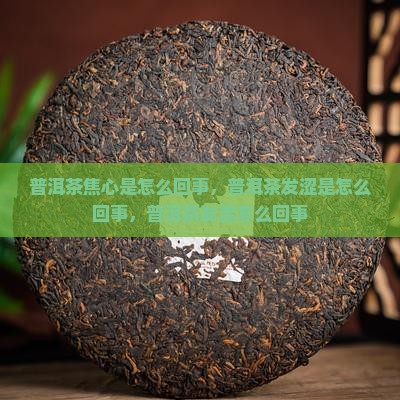 普洱茶焦心是怎么回事
