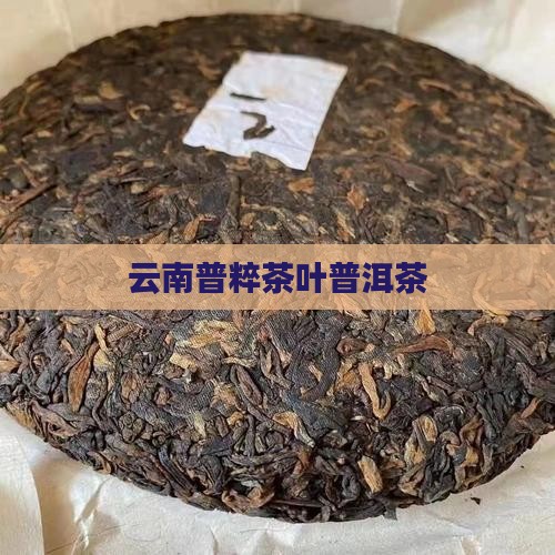 云南普粹普洱茶