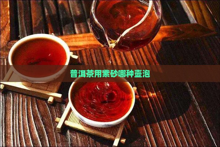 普洱茶用紫砂哪种壶泡最好