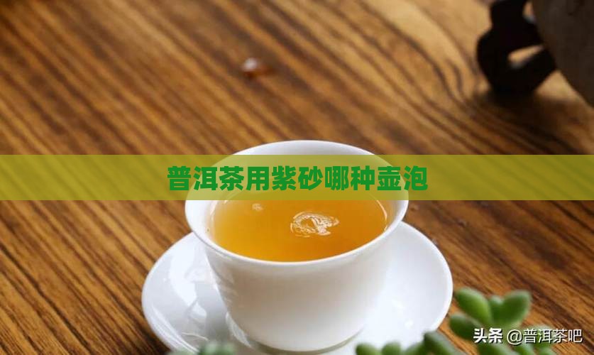 普洱茶用紫砂哪种壶泡最好