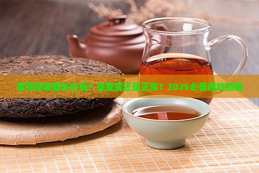 普洱茶表面起白毛正常吗