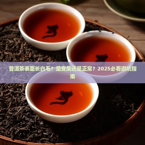 普洱茶表面起白毛正常吗