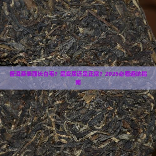 普洱茶表面起白毛正常吗