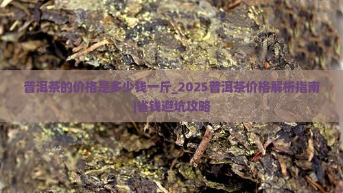 普洱茶的价格是多少钱一斤