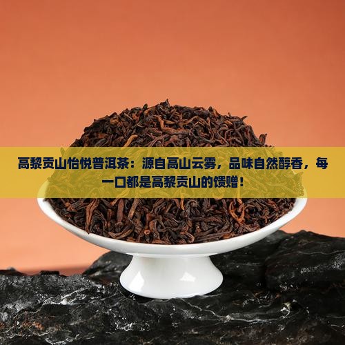 高黎贡山怡悦普洱茶
