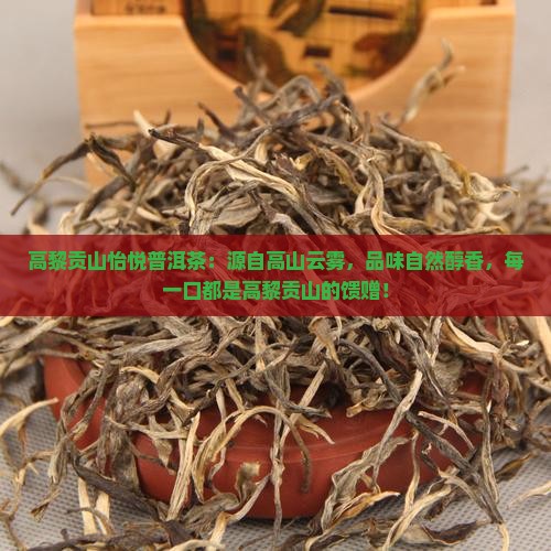 高黎贡山怡悦普洱茶