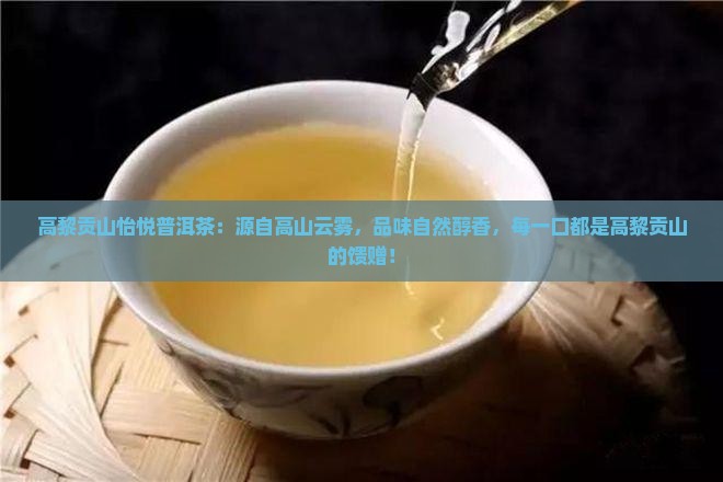 高黎贡山怡悦普洱茶