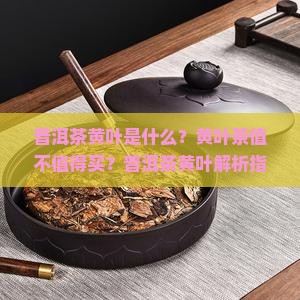 普洱茶黄叶介绍