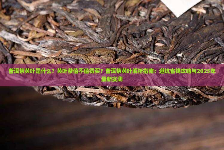 普洱茶黄叶介绍