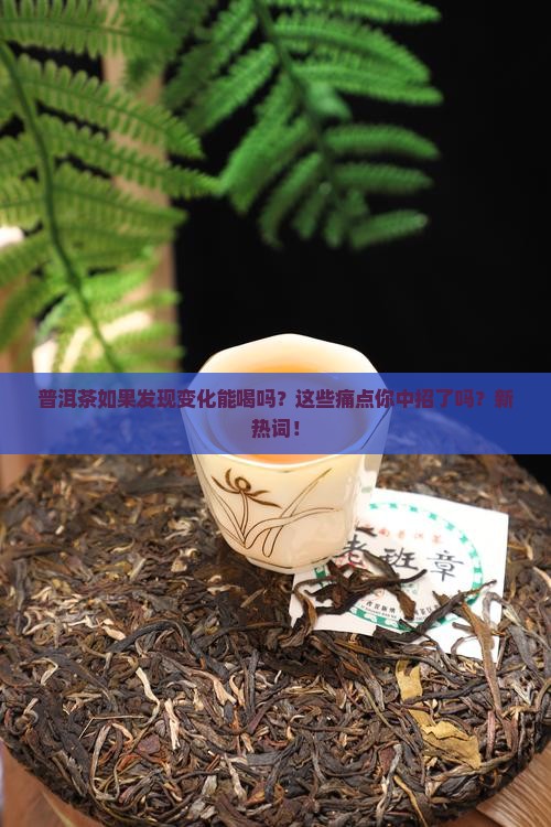 普洱茶如果发现变化能喝吗