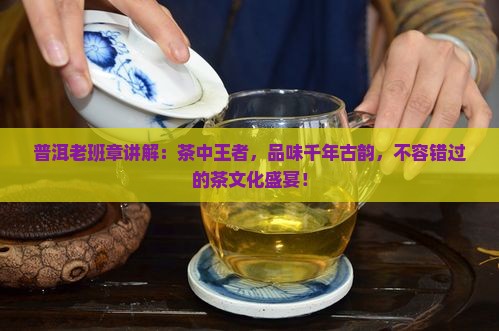 普洱老班章讲解