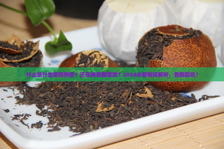 什么茶分生茶和熟茶