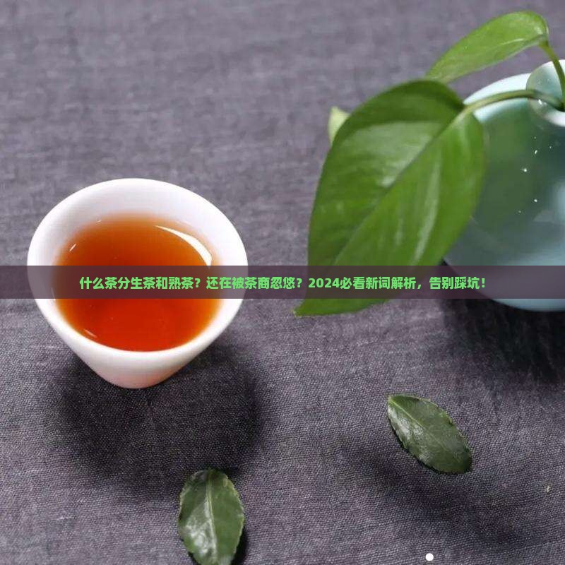 什么茶分生茶和熟茶