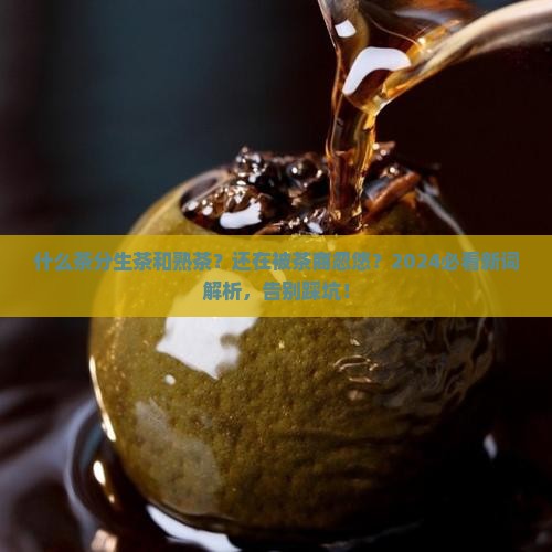 什么茶分生茶和熟茶