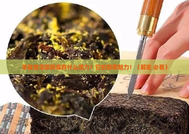 革登普洱茶特点