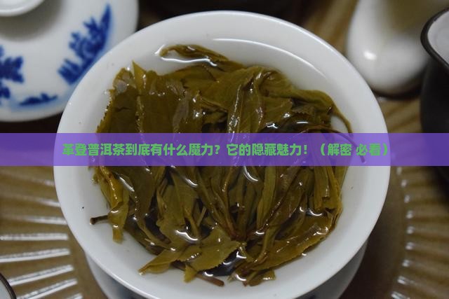 革登普洱茶特点