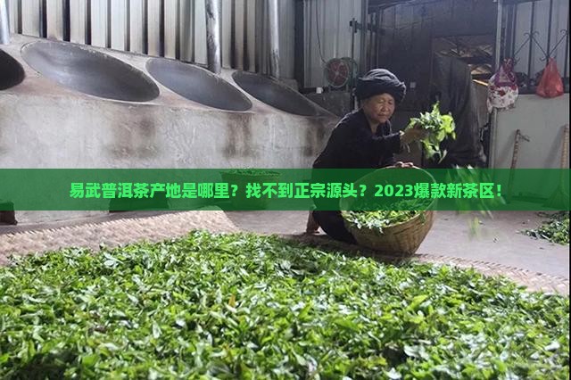 易武普洱茶产地是哪里