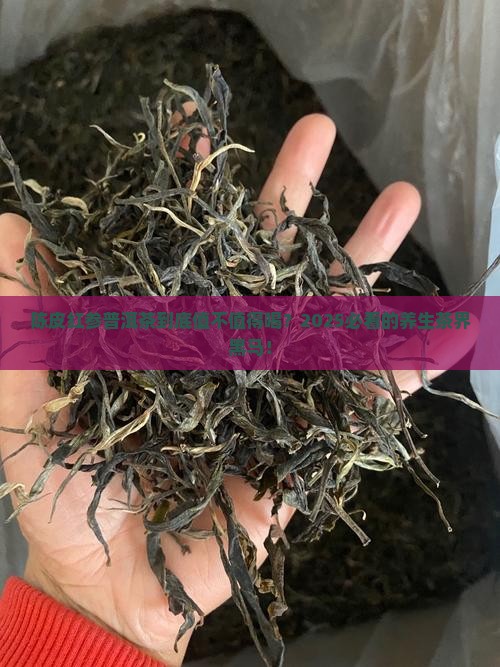 陈皮红参普洱茶
