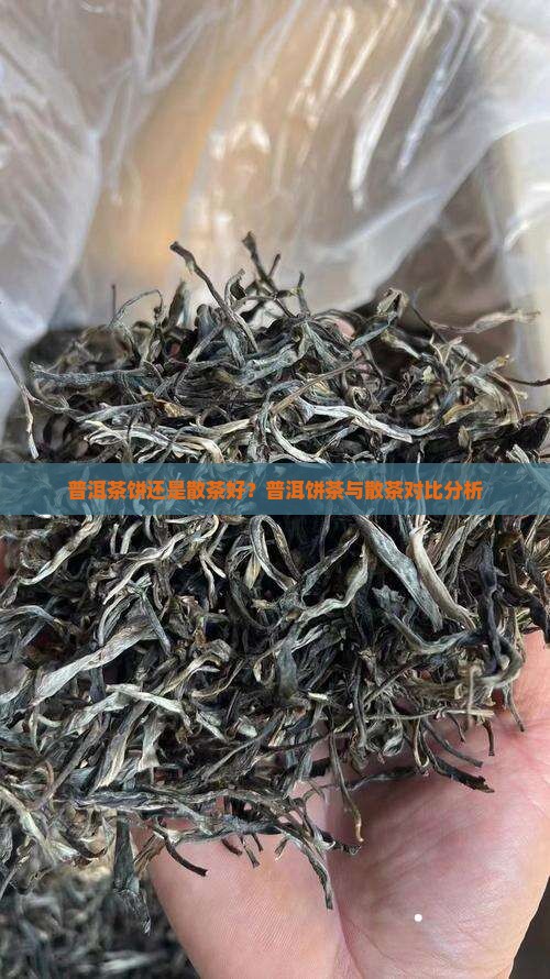 普洱生茶茶饼好还是散茶好