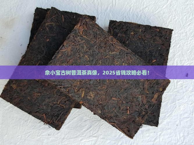 佘小宝聊古树普洱茶