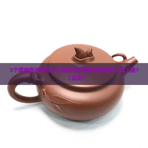 高伽马的薄荷塘普洱茶