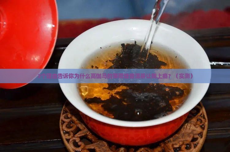 高伽马的薄荷塘普洱茶