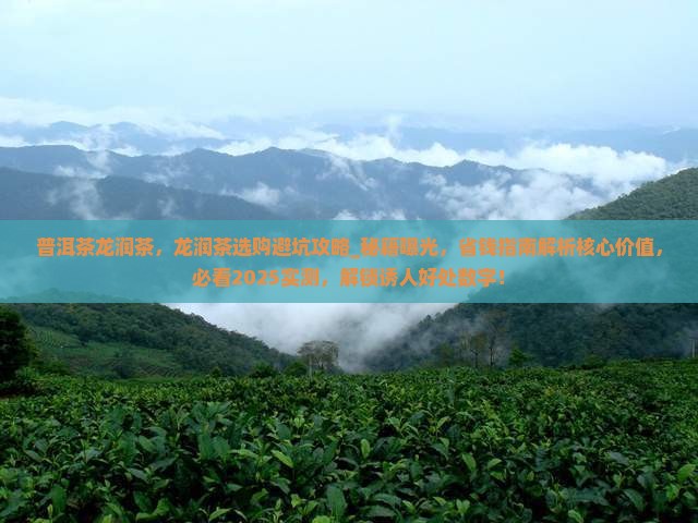 普洱茶品牌龙润茶