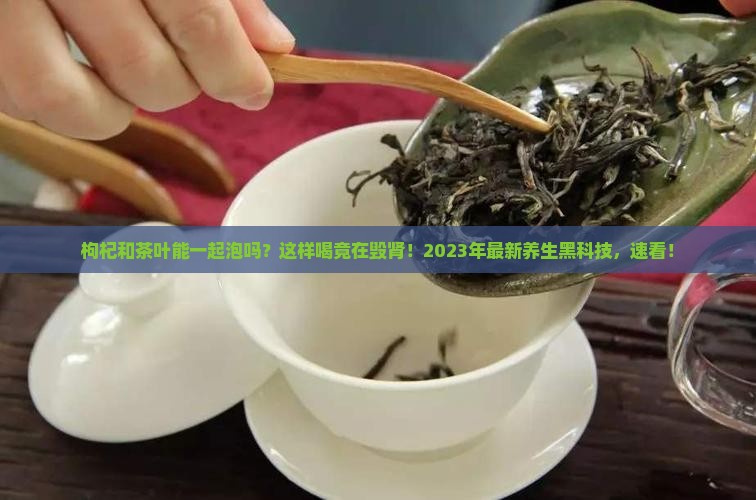 枸杞和茶叶能一起泡吗