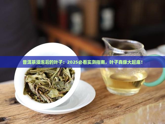 普洱茶浸泡后的叶子