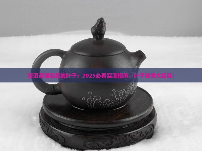 普洱茶浸泡后的叶子