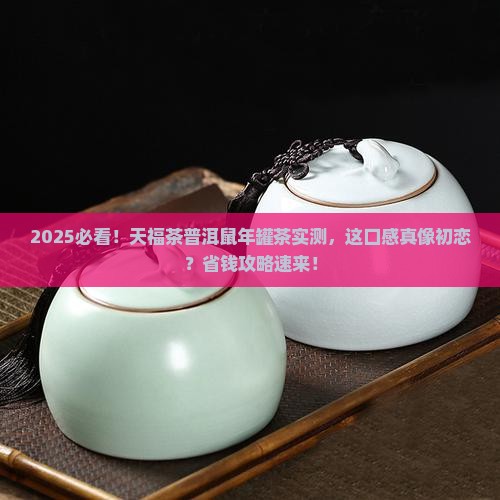 天福茶普洱鼠年罐茶