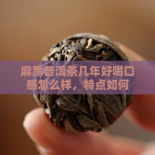 麻黑普洱茶几年好喝口感