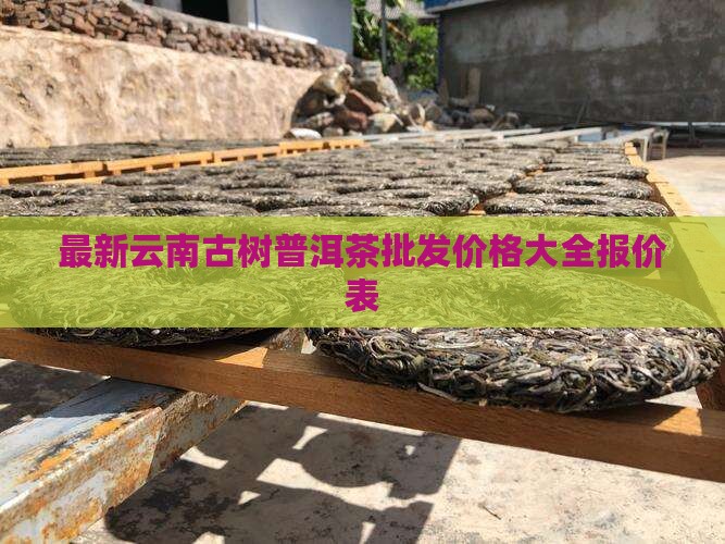古树普洱茶购买购价格表
