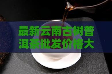 古树普洱茶购买购价格表