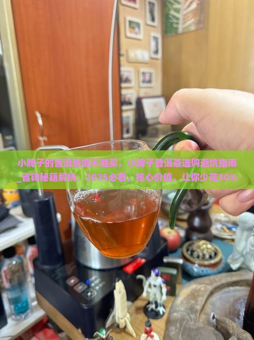 小牌子的普洱茶能不能买