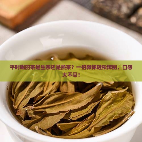 平时喝的茶是生茶还是熟茶