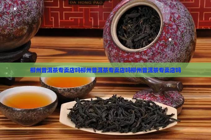 柳州普洱茶专卖店吗