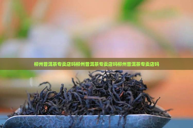 柳州普洱茶专卖店吗