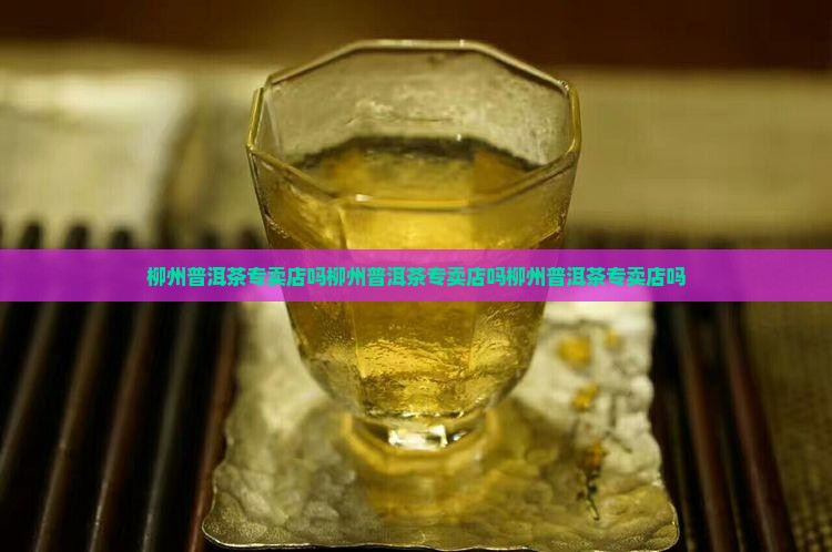 柳州普洱茶专卖店吗