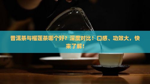 普洱茶与榴莲茶哪个好