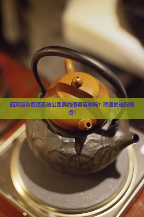 西双版纳普洱茶总公司