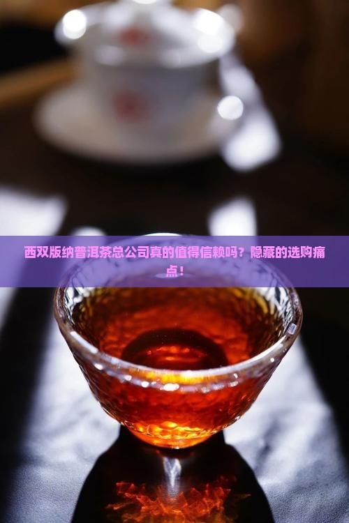 西双版纳普洱茶总公司